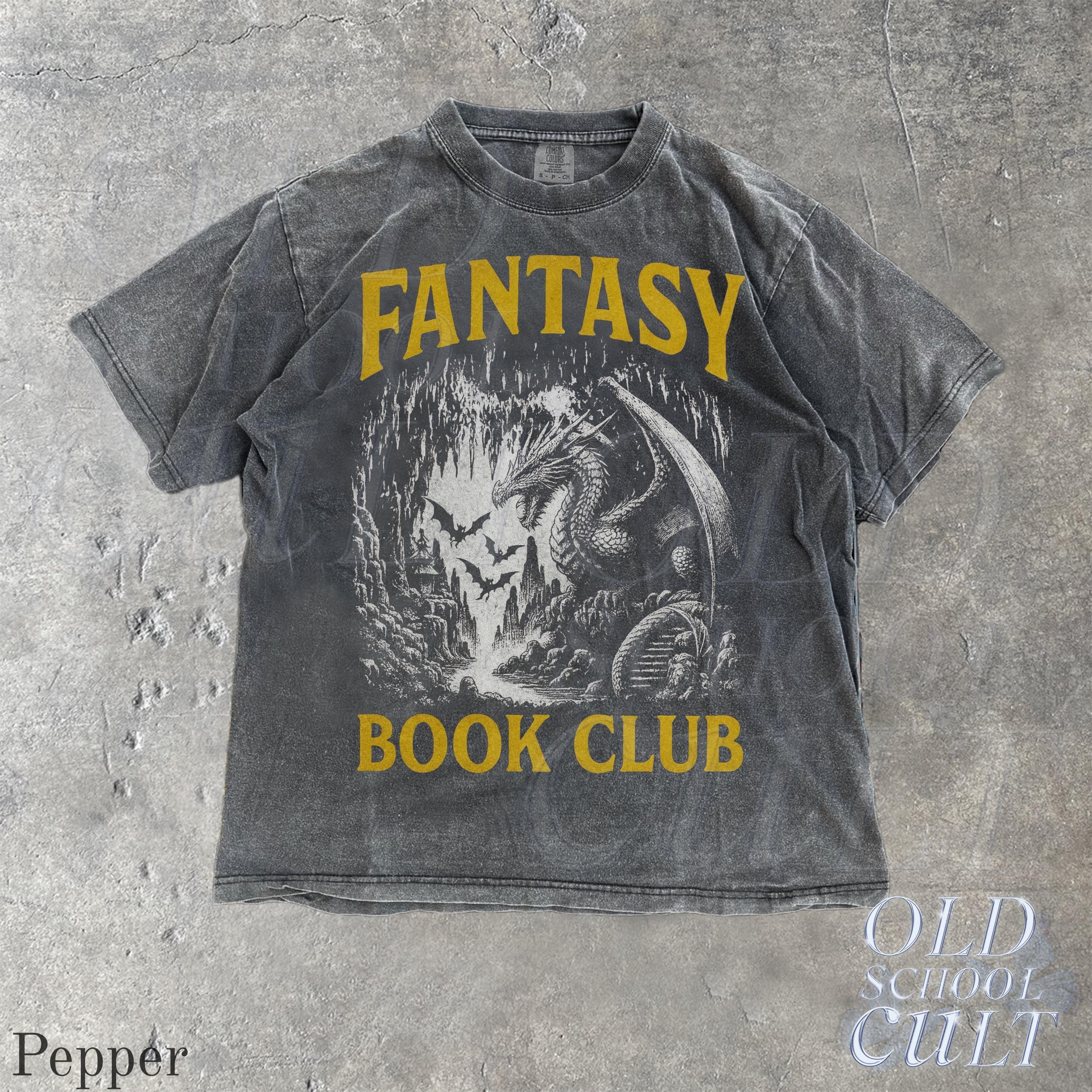 Fantasy Book Club Dragon Reader Comfort Colors Vintage Gothic Reading Book Lover Fantasy Reader Tee (4)
