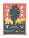 Giant Forest Poster