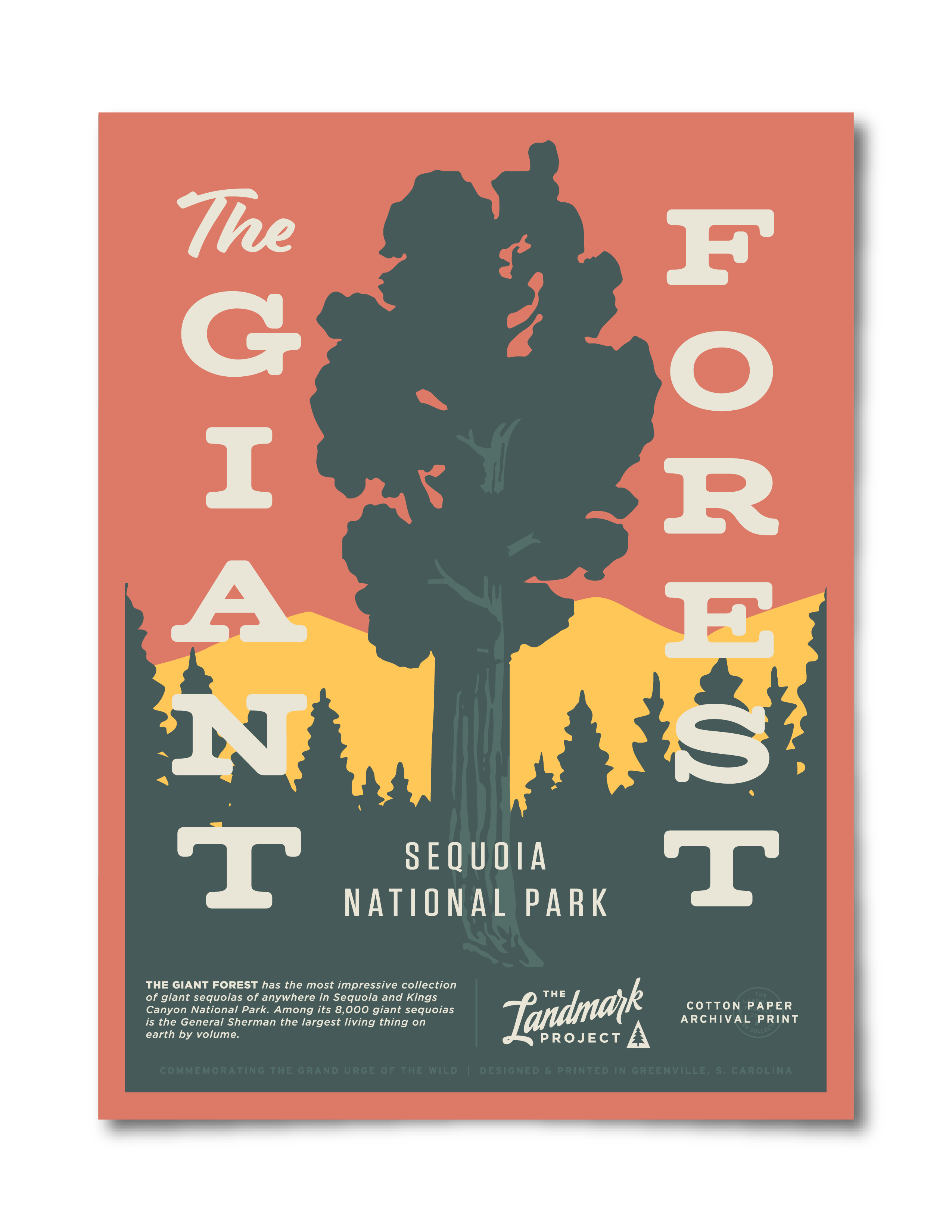 Giant Forest Poster