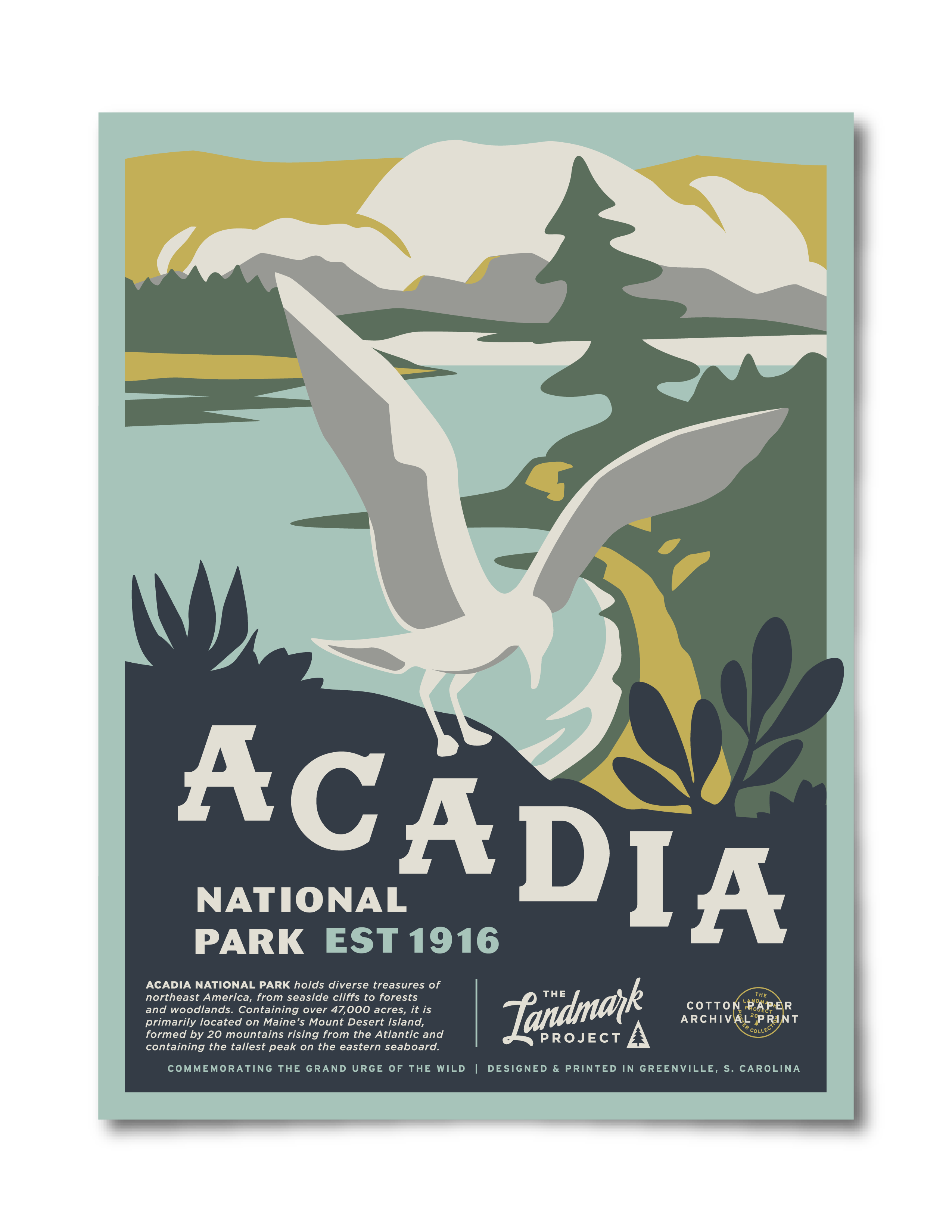 Acadia National Park Poster
