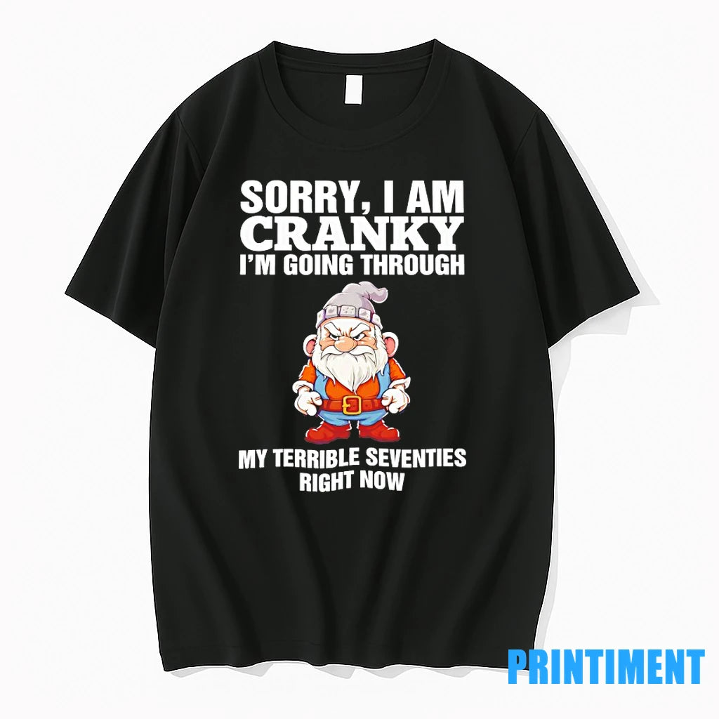 Gnome Sorry I Am Cranky Im Going Through Tshirts Sweater
