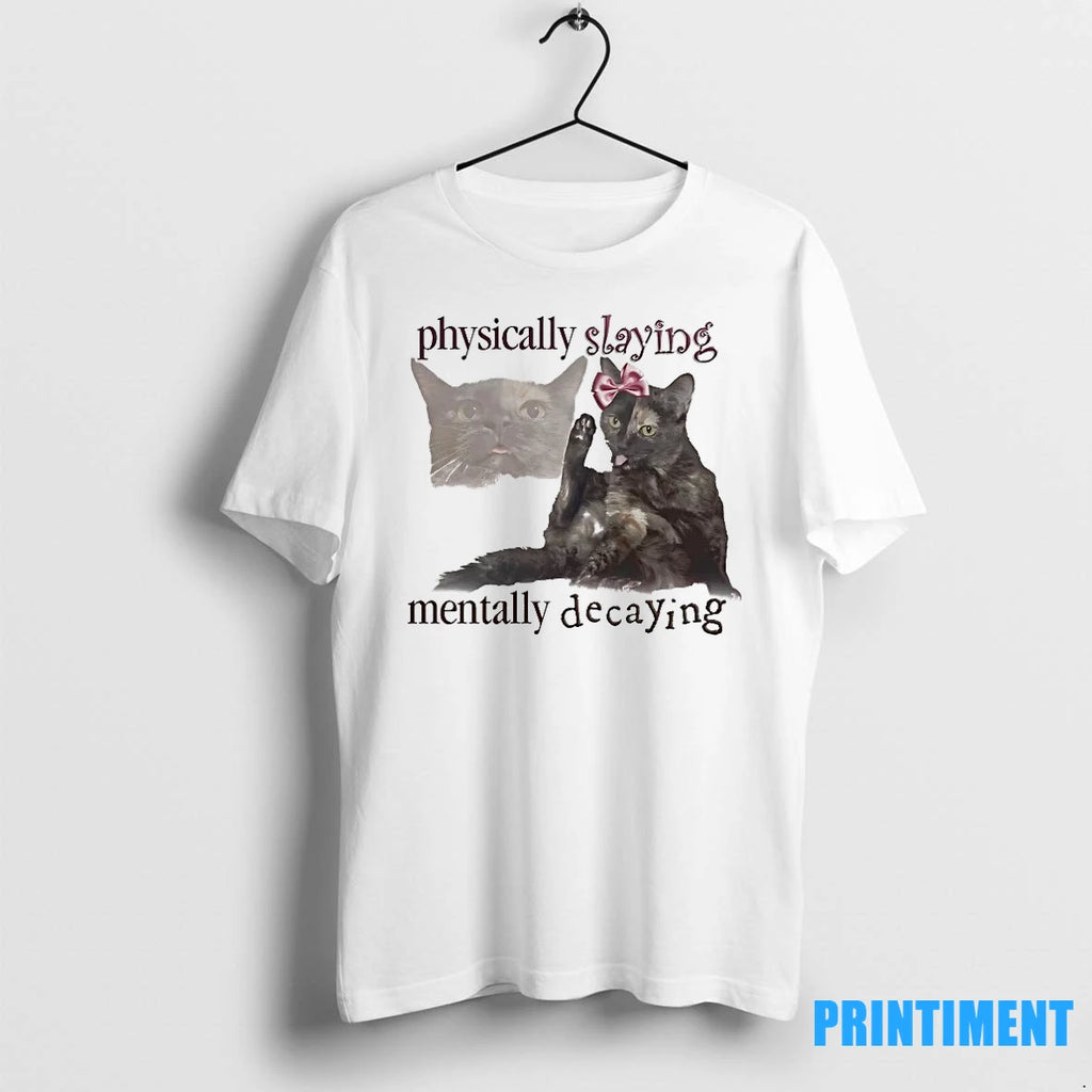 Lilly The Cat Physically Slaying And Mentally Decaying Tshirts Sweater