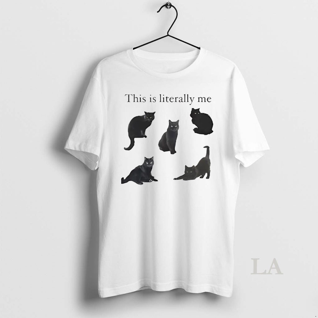 Original Black Cat This Is Literally Me