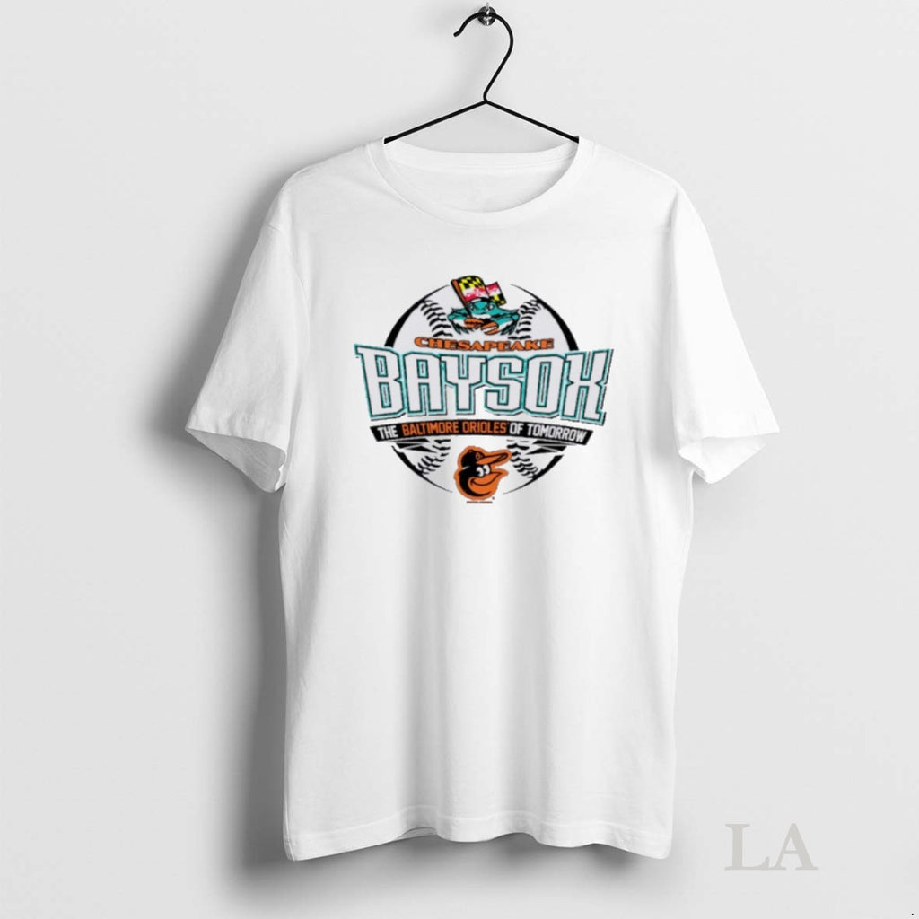 Original Chesapeake Baysox The Baltimore Orioles Of Tomorrow