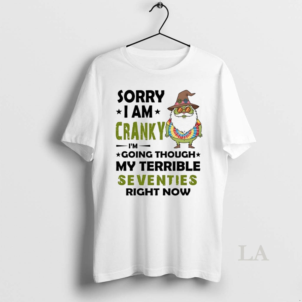 Original Grinch Sorry I Am Cranky Im Going Though My Terrible Seventies Right Now