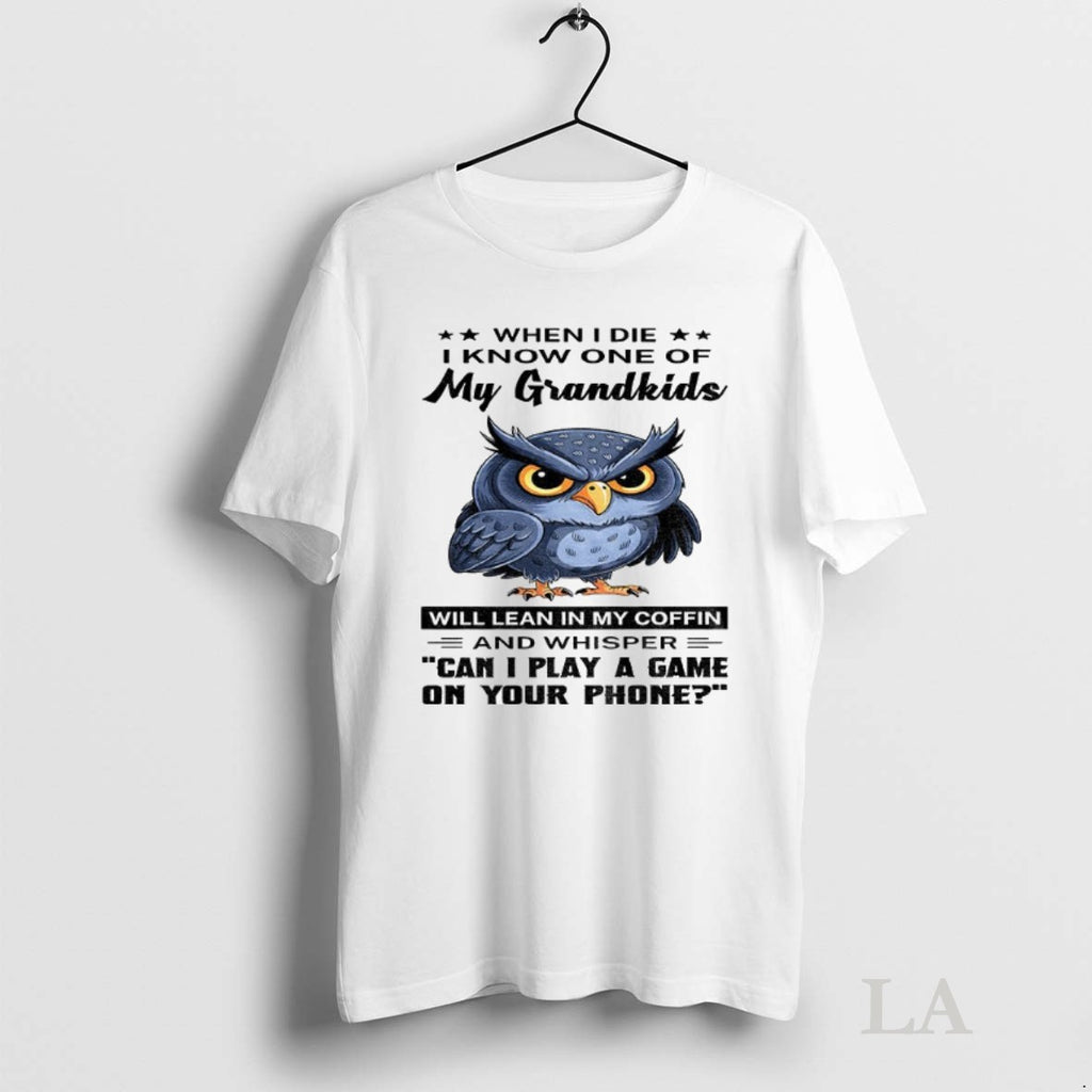 Original Owl When I Die I Know One Of My Grandkids Will Lean In My