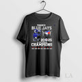 Original Toronto Blue Jay Al Central Division Champions 2025