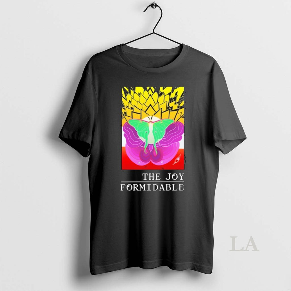 Original The Joy Formidable Luna Month