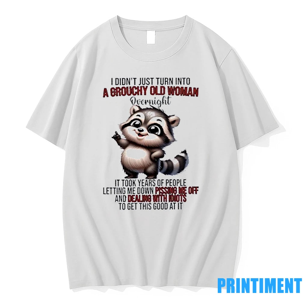 Raccoon I Didnt Just Turn Into A Grouchy Old Woman Overnight It Took Years Of