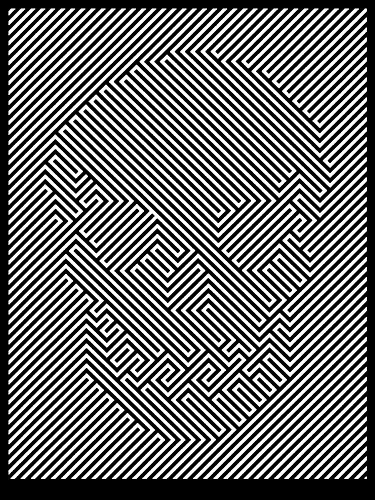 Optical Skull by Fairyjam