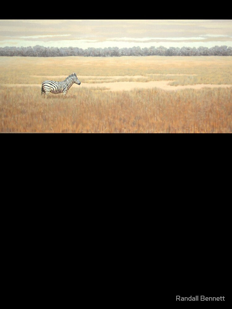 Lone zebra on grassy plain by Randall Bennett