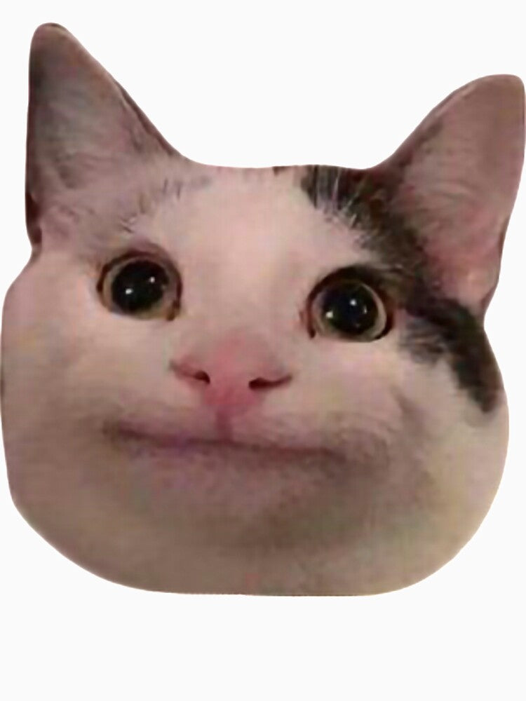 meme cat funny by BlueArRecords