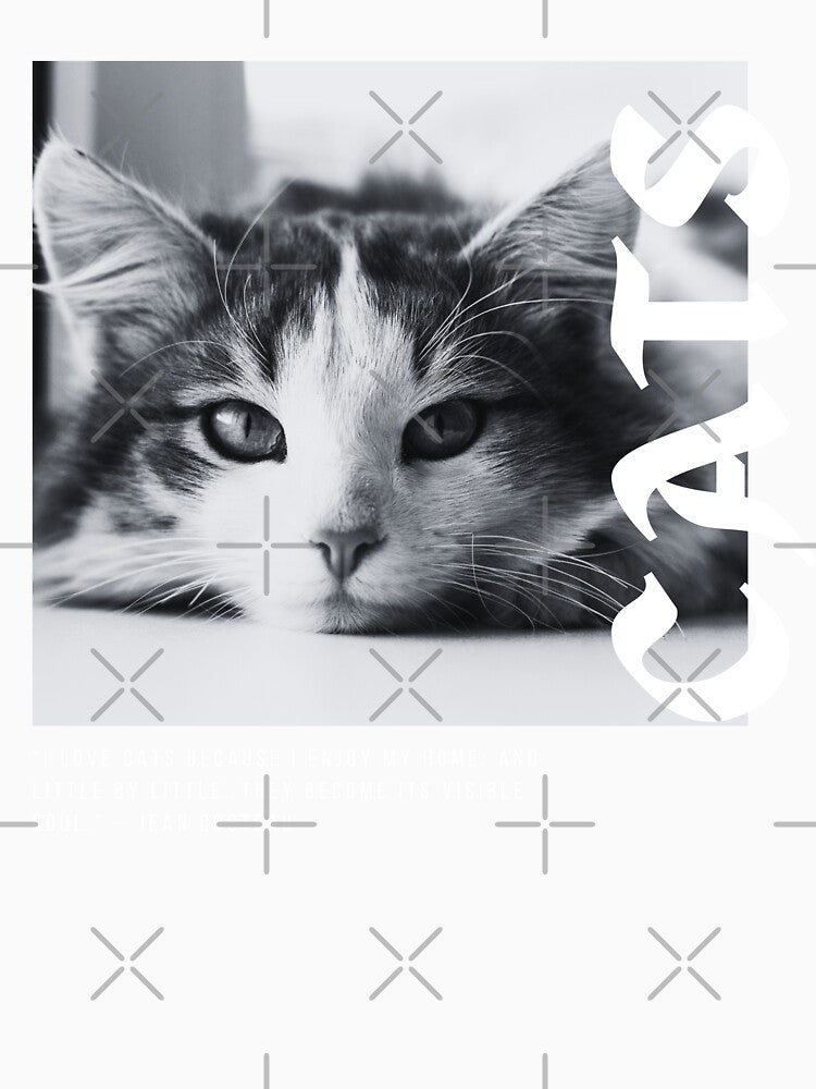 Cats with a Quote Streetwear Inspired Design by quinellie