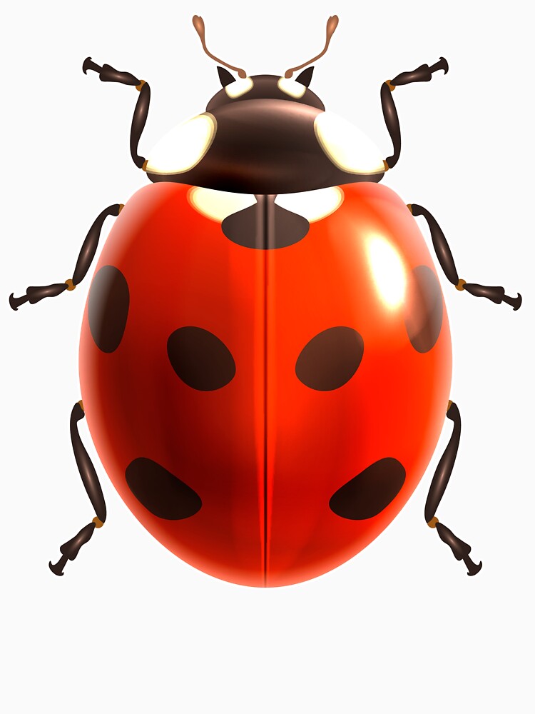 Ladybird by Fairyjam