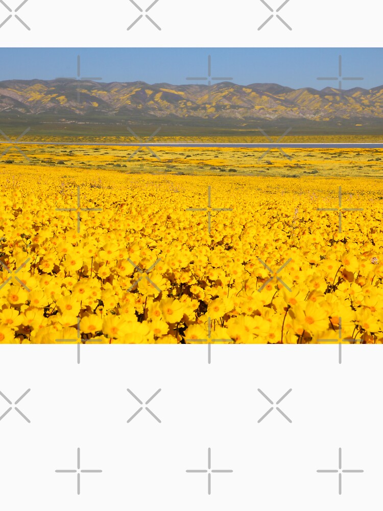 Superbloom - Golden Fields of the Carrizo Plain by MH65Designs