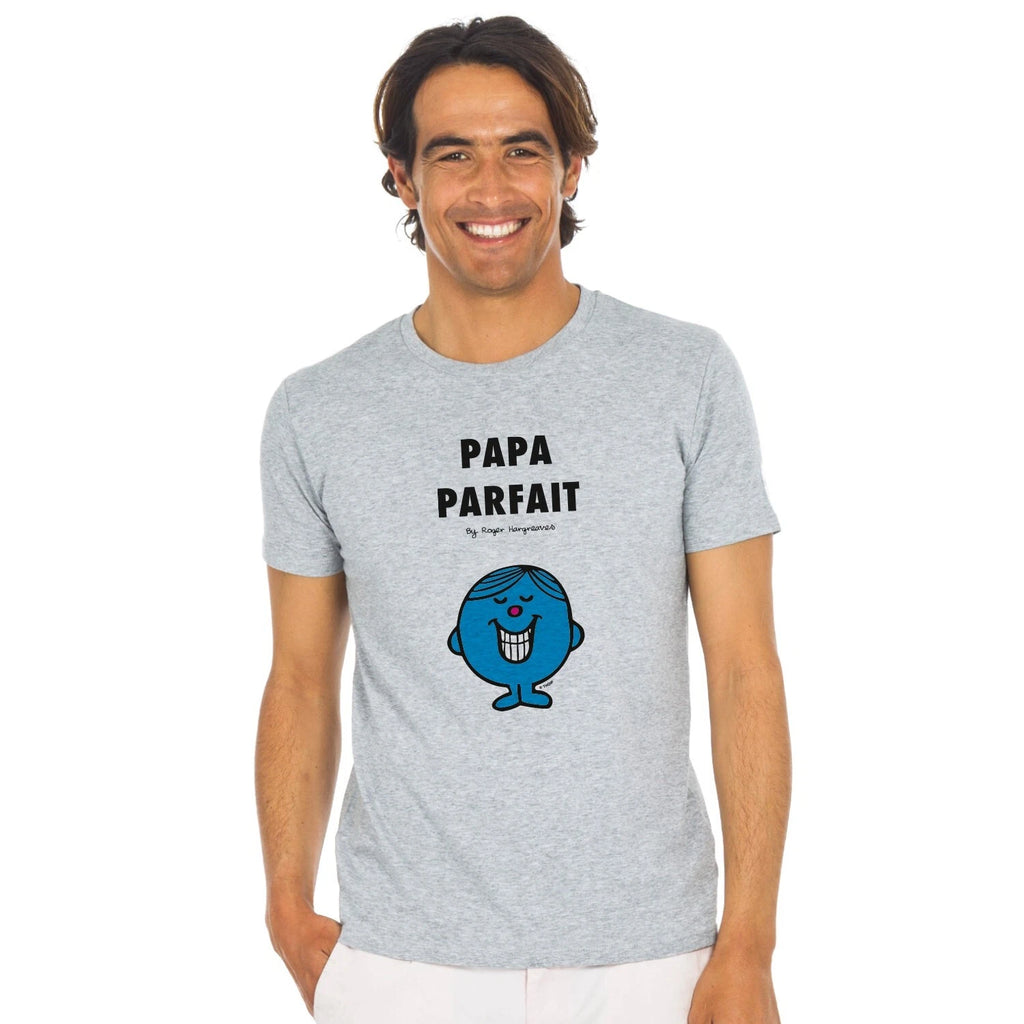 Mens Short Sleeve T Shirt Colour Grey