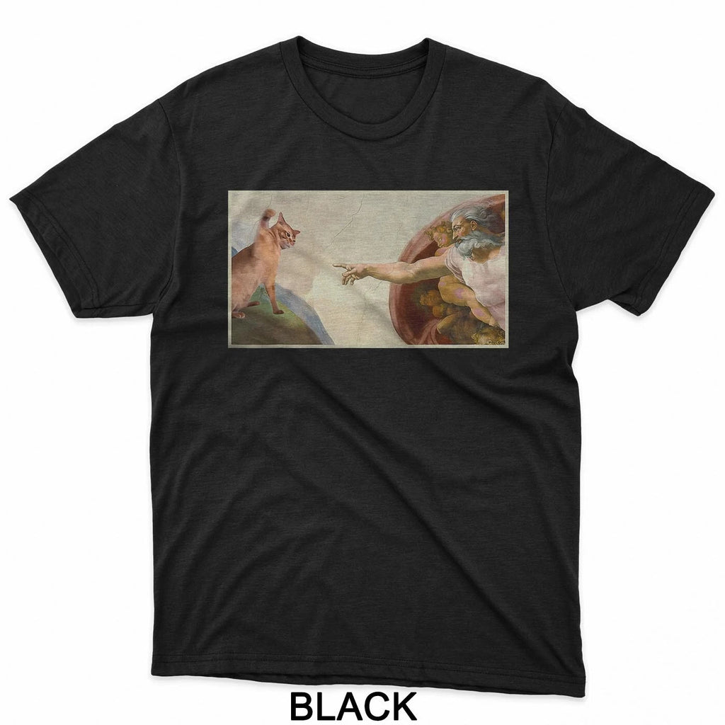 Funny Cat Slap Sarcastic Creation Of Adam Cat Meme Cat Lover T-Shirt