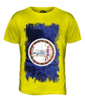 STATE VIRGINIA GRUNGE FLAG MENS T-SHIRT TEE SHIRT XS S M L XL 2XL 3XL