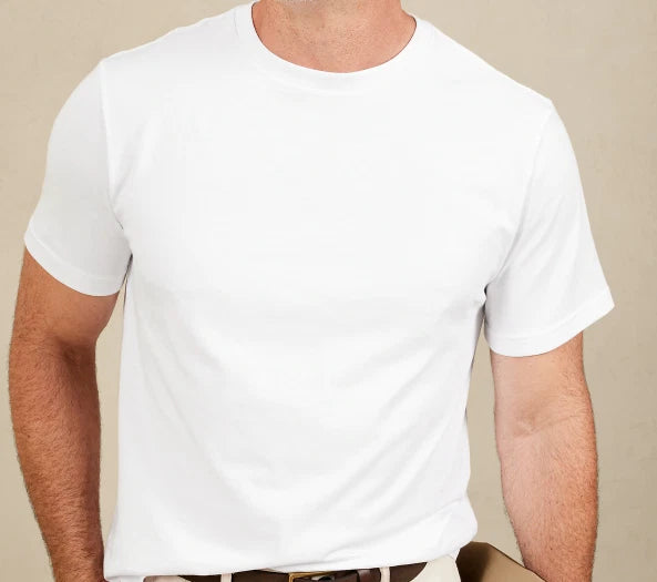 MENS SIZE LARGE BANANA REPUBLIC PREMIUM WASH CREW NECK T SHIRT WHITE NWT