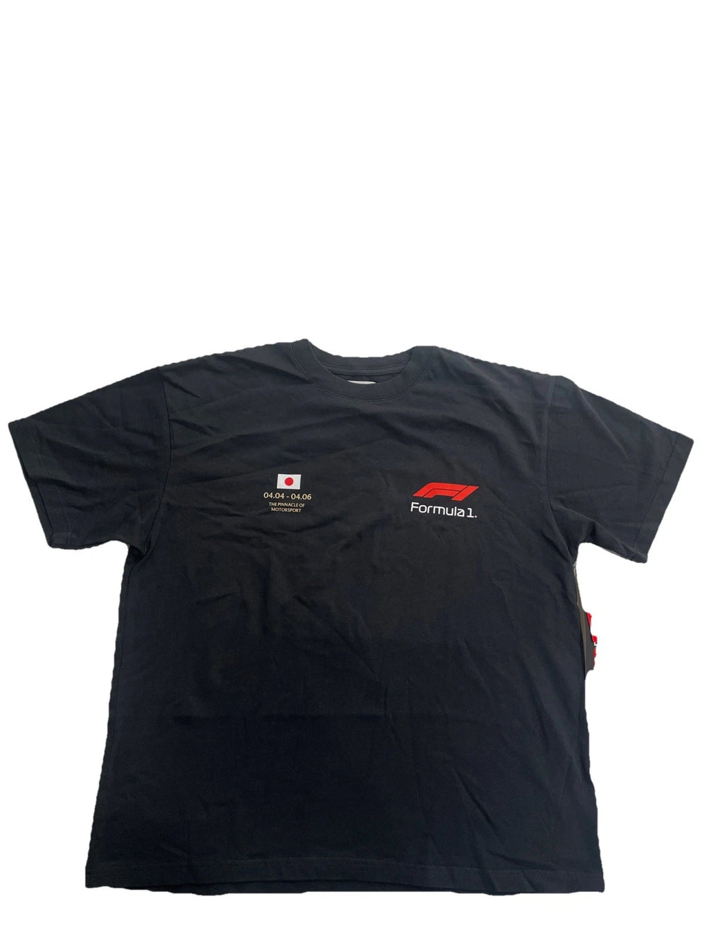 Pacsun Formula 1 Speed Oversized SS T-shirt Black Size L