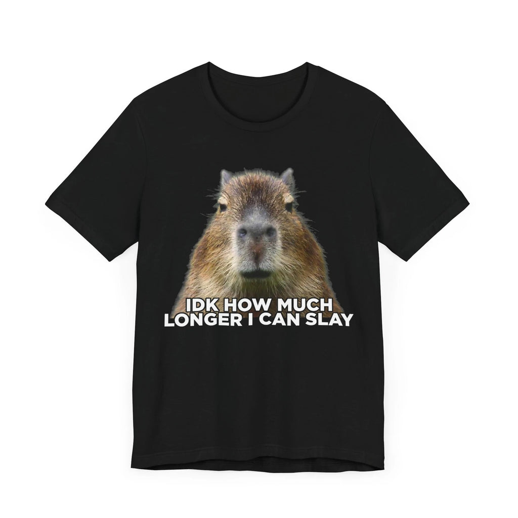 Idk How Much Longer I Can Slay Capybara Sarcastic Dank Meme T-shirt , Capybara