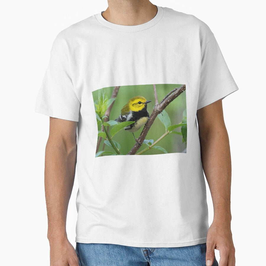 Black-throated Green Warbler by WorldDesign
