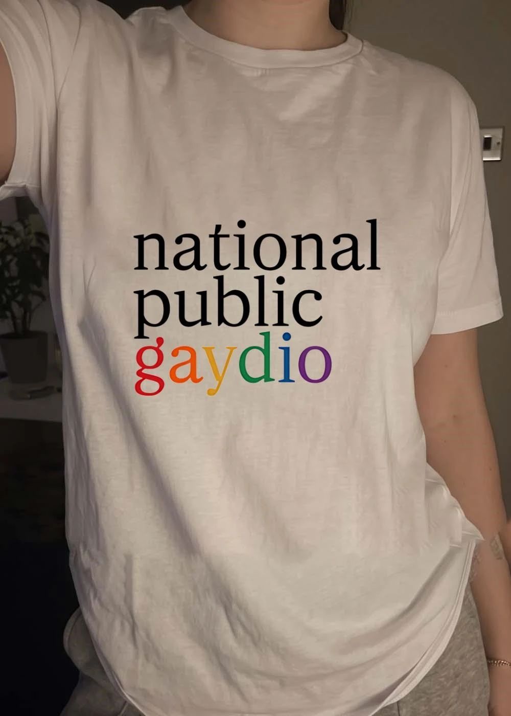 National Public Gaydio LGBTQ+ Pride Rainbow NPR Parody Funny Pride Month 2026 Shirt