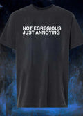 Not Egregious Just Annoying shirt