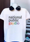 National Public Gaydio LGBTQ+ Pride Rainbow NPR Parody Funny Pride Month 2026 Shirt