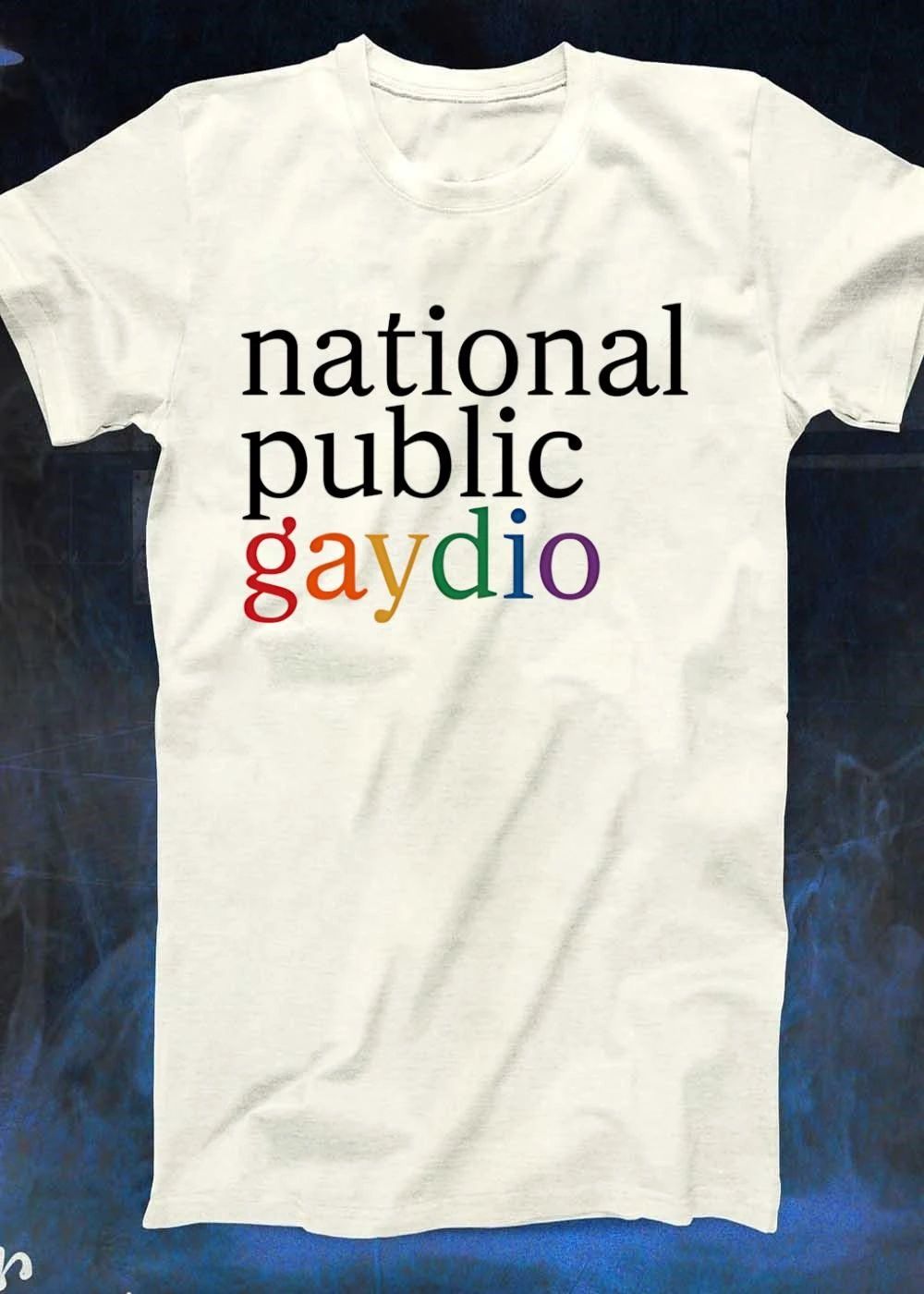 National Public Gaydio LGBTQ+ Pride Rainbow NPR Parody Funny Pride Month 2026 Shirt