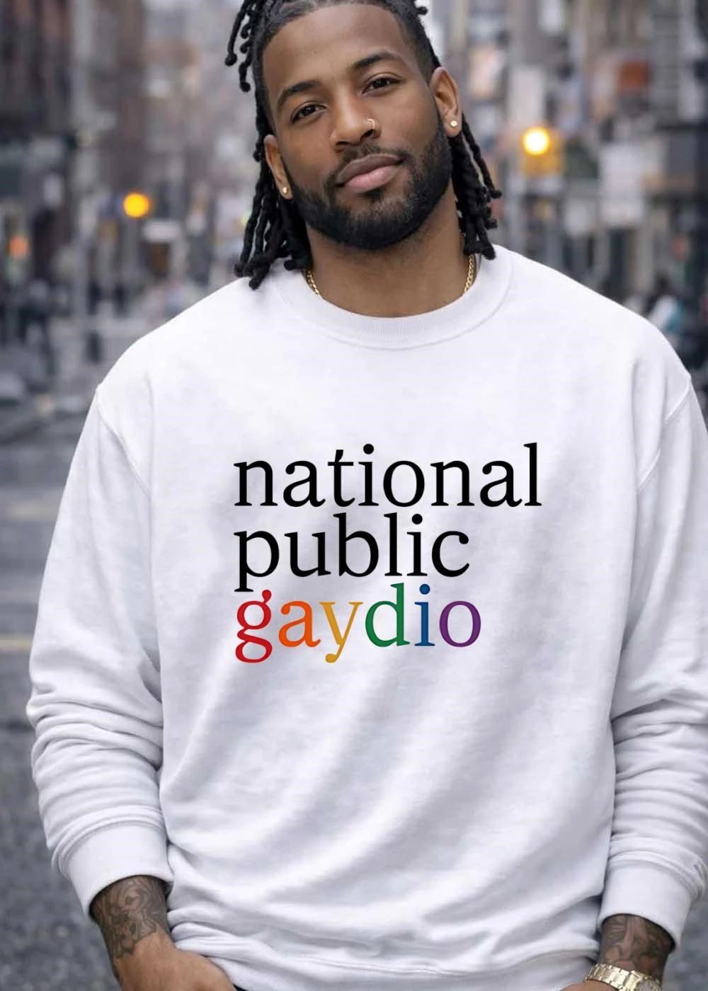 National Public Gaydio LGBTQ+ Pride Rainbow NPR Parody Funny Pride Month 2026 Shirt